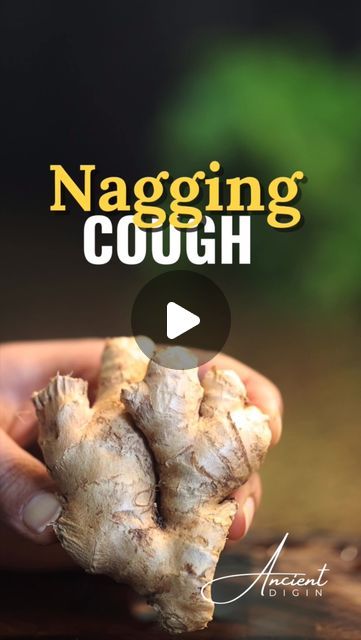 Ancient Dig In on Instagram: "Nagging Cough Relief with Ginger & Honey 🍯🌿

Soothe your throat and calm that nagging cough naturally with this simple ginger and honey remedy. Known for their soothing properties, ginger and honey may help you feel relief within just a few days. Perfect for easing discomfort and supporting your respiratory health. 🌿

Benefits (with studies):
🌿 Ginger: Known for its anti-inflammatory and soothing properties, ginger may help reduce throat irritation and cough symptoms. [Study: Ginger and Respiratory Disorders, American Journal of Respiratory Cell and Molecular Biology 2013]
🌿 Honey: Soothes the throat and provides antimicrobial effects that may assist in calming coughs. [Study: Honey: Its Medicinal Properties, Asian Pacific Journal of Tropical Biomedicine Cell And Molecular Biology, Honey Remedies, Respiratory Disorders, Sickness Remedies, Sinus Congestion Relief, Cough Relief, Ginger Honey, Congestion Relief, Sick Remedies