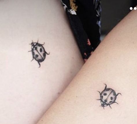 Ladybird Tattoo Black And White, Black And White Ladybug Tattoo, Ladybug Tattoo Black And White, Ladybird Tattoo, White Ladybug, Ladybug Tattoo, Lady Bug Tattoo, Bug Tattoo, Sleeve Ideas