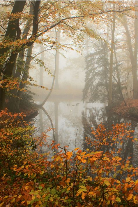 October Country, Autumn Magic, Foto Tips, Autumn Beauty, Magical Forest, Autumn Cozy, Lombok, Autumn Aesthetic, Autumn Photography