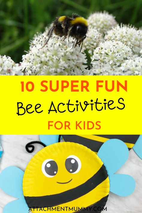 10 Super Fun Activities to Help Kids Learn About Bees Pollination Activity, Bees For Kids, Unit Study Ideas, Summer Camp At Home, Camp At Home, Bee Games, Bee Life Cycle, Bee Crafts For Kids, Bee Activities