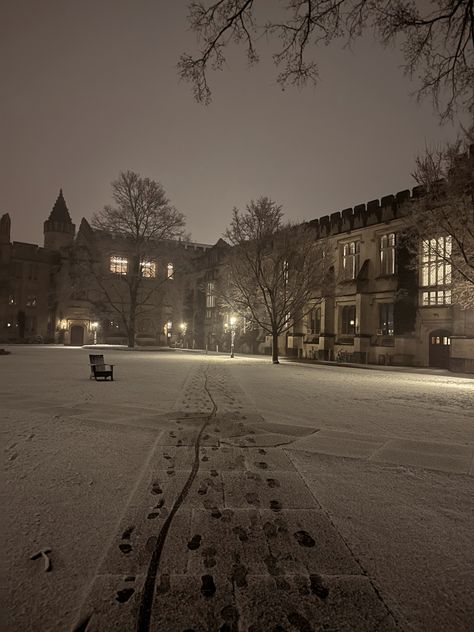 snow on the ground at princeton in mccosh courtyard Privet School Aesthetic, Prestigious School Aesthetic, Princeton Aesthetic, Princeton University Aesthetic, Galaxy Stern, Princeton Library, Princeton Campus, Princeton University Campus, Dream University