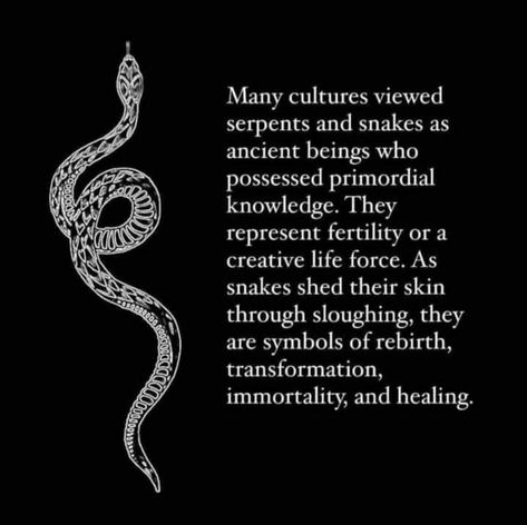 Snakes Spiritual Meaning, As Above So Below Quotes, Snake Meaning Spiritual, Serpent Meaning, Lilith Snake, Rebirth Aesthetic, Rebirth Spiritual, Snake Mythology, Lilith Aesthetic