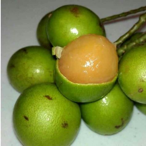 Quenepas! Soooooo GOOD!!! Puerto Rico Tattoo, Caribbean Vibes, Rican Food, Puerto Rican Culture, Puerto Rican Pride, Caribbean Food, Still Life Fruit, Puerto Rican Recipes, Caribbean Recipes