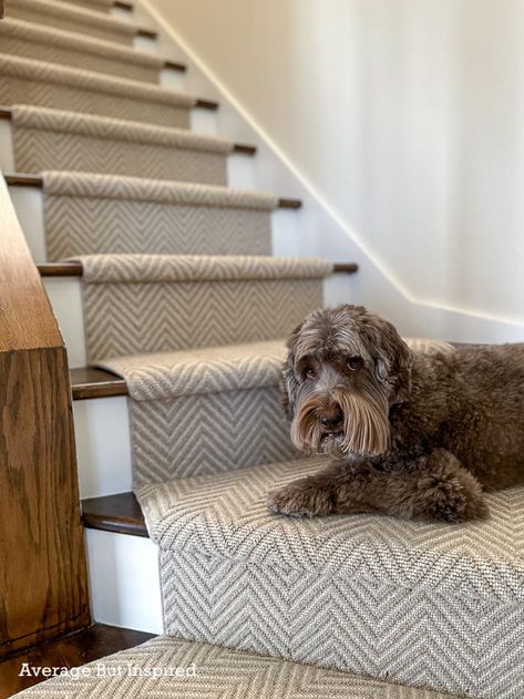 Transitional Stair Runner, Modern Stair Runner, Curved Stairs, Stair Runner Installation, Hallway Makeover, Dark Hallway, Top Of The Stairs, Modern Runner, Staircase Makeover