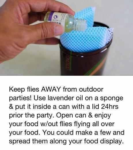 Fly Repellant, Astuces Diy, Bug Repellent, Household Cleaning Tips, Simple Life Hacks, Diy Life Hacks, Diy Life, Outdoor Parties, Back To Nature