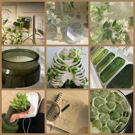 Science Moodboard, Monet Moodboard, Plant Mood Board, Mood Boards Green, Mushroom Moodboard, Moodboard Images, Moodboards For Characters, Mood Bored Aesthetic, Nature Mood Board