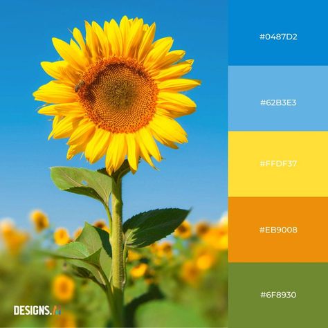 Green And Yellow Colour Scheme, Sunflower Colour Palette, Green Blue Yellow Color Palette, Color Palette Sunflower, Blue Yellow Green Color Palette, Sunflower Color Palette, Yellow Color Scheme, Orange Color Combinations, Yellow Color Combinations