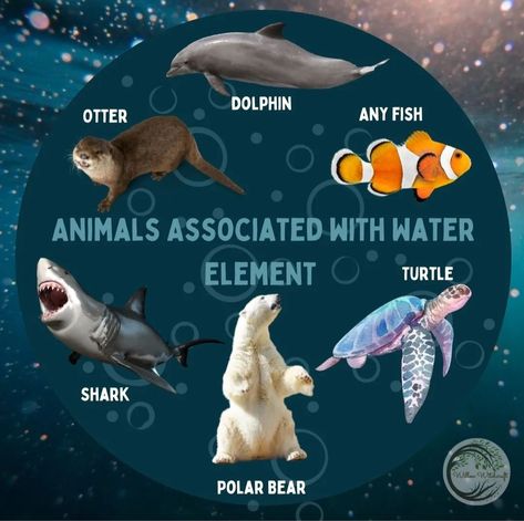 Water Element Animals, Animal Totem Spirit Guides, Spirit Animal Meaning, Animal Meanings, Chihiro Y Haku, Animal Spirit Guides, Mythical Creatures Fantasy, Elemental Powers, Elemental Magic