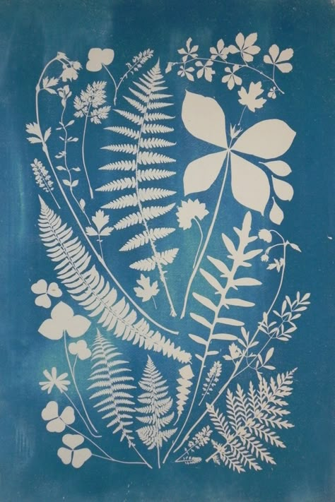 Sun Printing, Indigo Art, Sun Paper, Cyanotype Process, Sun Prints, Classical Conversations, Sun Art, Eco Printing, Pretty Prints