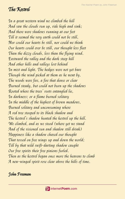 In a great western wind we climbed the hill And saw the clouds run up, ride high and sink; And there were shadows running at our feet Till it seemed the very earth could not be still, Nor could our hearts be still, nor could we think Our hearts could ever be still, our thought less fleet Than the dizzy clouds, less than the flying wind. .... Poem Topics, German Translation, Rhyme Scheme, Robert Burns, Hills And Valleys, Best Poems, Kestrel, Great Western, Bullet Journal Writing