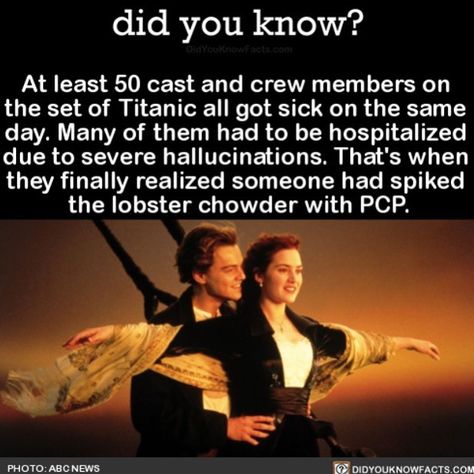 Titanic Movie Facts, Lobster Chowder, Titanic Quotes, Human Science, Daily Text, Titanic Facts, Weird Humor, Titanic History, Tv Funny