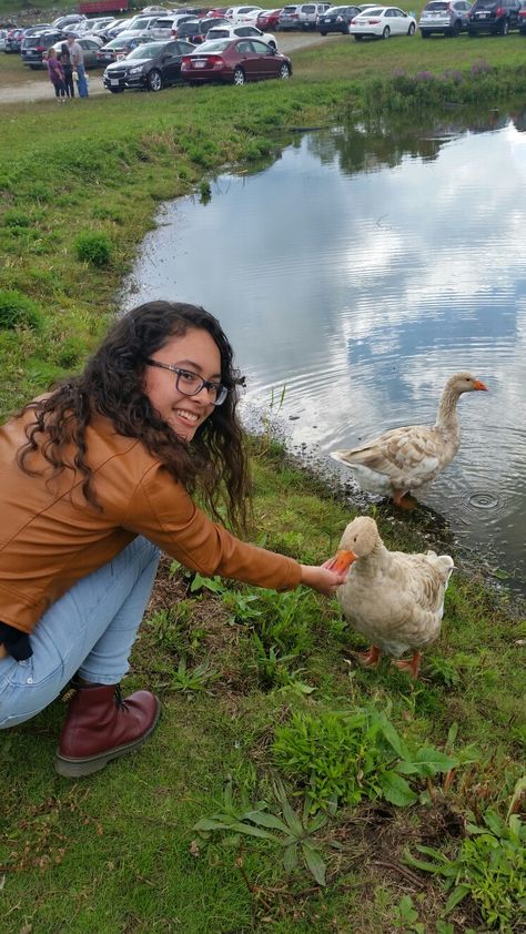 Feeding the ducks Abc Dates, Feeding Ducks, The Duck, Bird Bath, Ducks, Animal Lover, Dates, Abc, Old Things