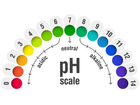 Ph Scale, Menstrual Blood, Uric Acid, Ph Levels, Bacterial Infection, Hormone Levels, Ph Balance, Diy Cleaning Products, Natural Remedies