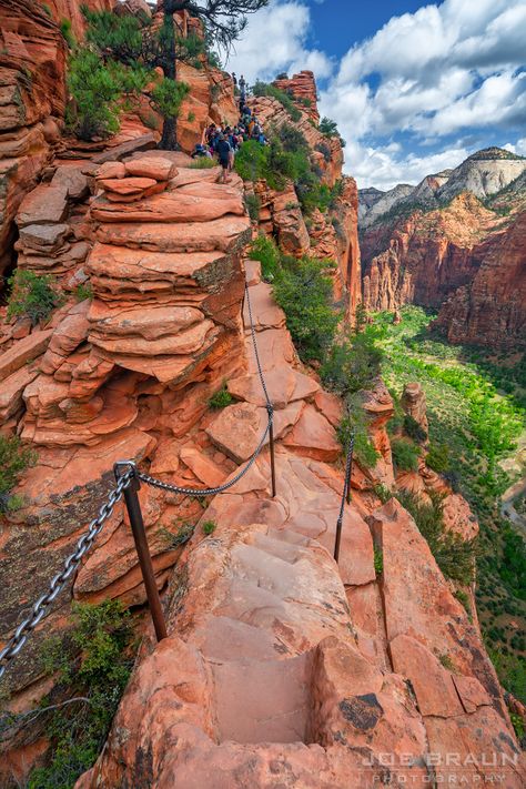 Zion National Park Tattoo, Angels Landing Zion Photography, Zion National Park Photography, Zion Narrows Hike, The Narrows Zion National Park, Zion National Park Narrows, Angels Landing Zion National Park, Angels Landing Zion, Zion National Park Angels Landing