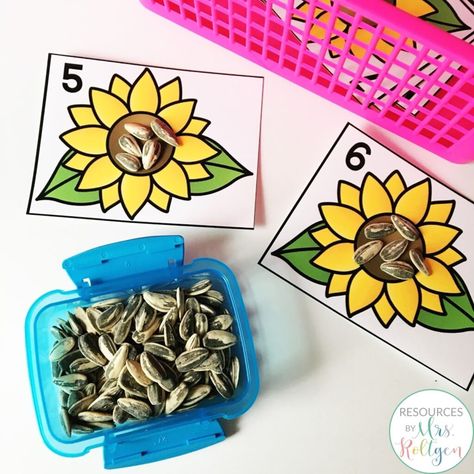 January Fun, Kansas Day, Preschool Garden, Math Rotations, Seasonal Activities, Science Activity, Spring Preschool, Kindergarten Teacher, Numeracy