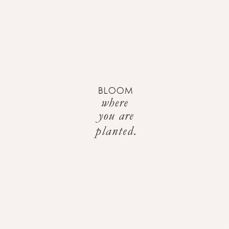 Bloom Flower Quotes, Plant Words Quotes, Bloom Sayings, Plants Quotes Life Inspiration, Quotes About Plants, Bloom Word, Poetic Captions, Flower Sayings, Quotes About Flowers