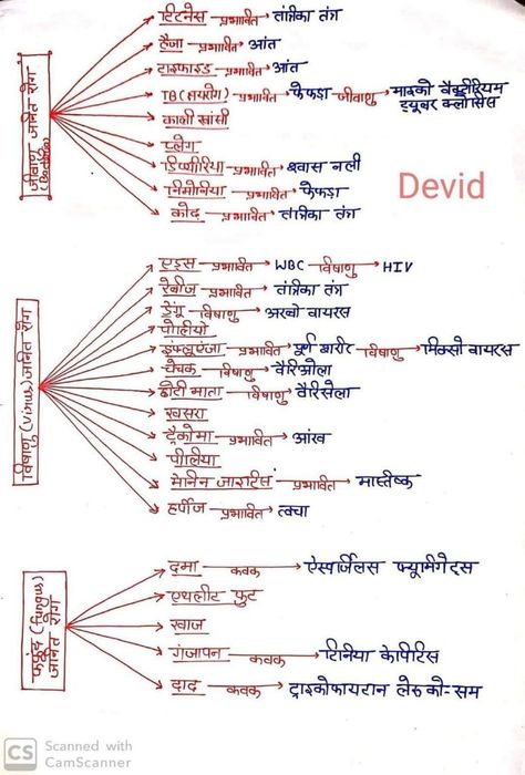 Gk Knowledge In Hindi, Gk Video, Gk Question In Hindi, Upsc Notes, Human Body Facts, Biology Facts, Indian History Facts, Gk In Hindi, Gk Questions And Answers