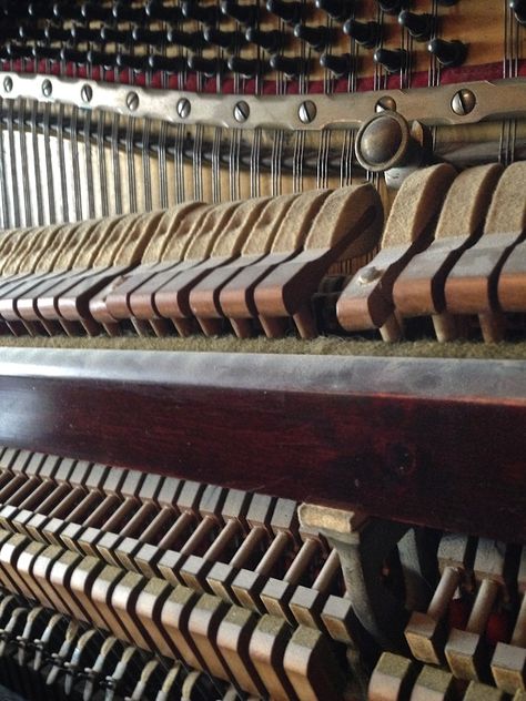 Inside of an Upright Grand, Hammers. Piano, music. Inside Of A Piano, Piano Hammers, Design Themes, Higher Design, Hammers, Piano Music, Piano, Music Instruments, Music