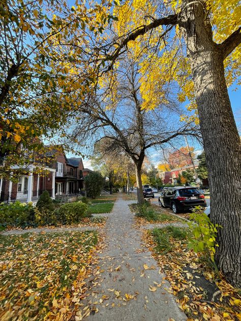 Canada Streets, Mcgill Aesthetic, Canadian Aesthetic, Montreal Fall, Montreal Aesthetic, Canada Fall, Canada Life, Canada Montreal, Autumn Street