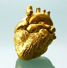 Dawn Richard, All That Glitters Is Gold, Head And Heart, Gold Aesthetic, Golden Heart, Anatomical Heart, Human Heart, Anatomy Art, Heart Art