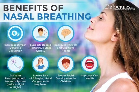 Nasal Breathing: Benefits and How to Do It Properly - DrJockers.com Shortness Of Breath Remedies, Sinus Cleanse, Breathing Benefits, Remedy For Sinus Congestion, Nose Breathing, Nasal Breathing, Home Remedies For Sinus, Sinus Congestion Relief, Alternate Nostril Breathing