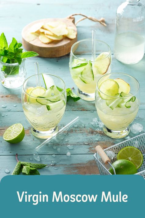 Virgin Moscow Mule Rezept - REWE.de https://www.rewe.de/rezepte/virgin-moscow-mule/ Virgin Moscow Mule, Virgin Drinks, Moscow Mule, Ginger Beer, Mule, Moscow, Fruit, Drinks