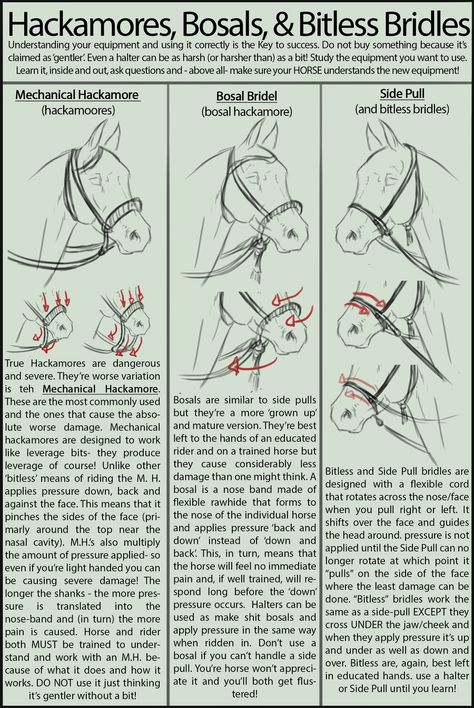 Hackamores, Bosals, & Bitless Bridles Hackamores For Horses, Bosal Hackamore, Hackamore Bridle, Horse Lessons, Horse Information, Bitless Bridle, Horse Facts, Horse Care Tips, Horse Info