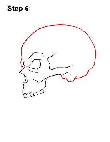 Skull Side View Drawing Tutorial, Side Of Skull Drawing, Sideways Skull Drawing, Cool Skull Drawings Sketches, Skull Side View Drawing, Skull Outline Drawing, Sideways Skull, Skull Side View, Skull Drawing Sketches