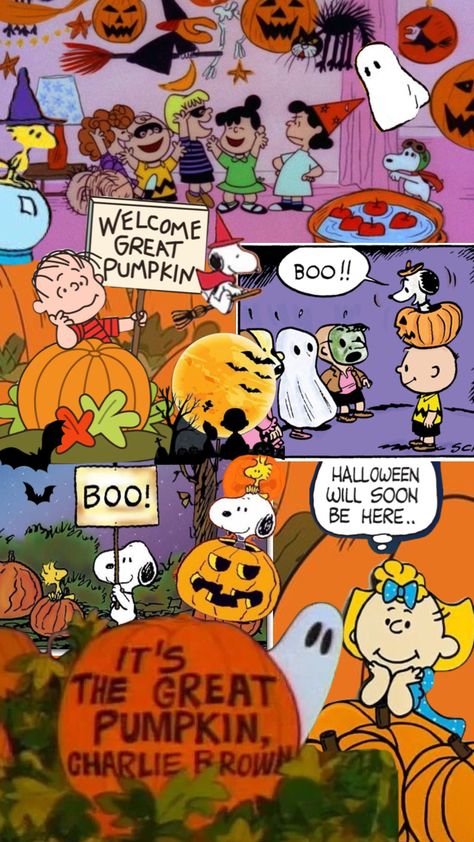 Its The Great Pumpkin Wallpaper, Thanksgiving Peanuts Wallpaper, Peanuts Fall Wallpaper, Jordyn Core, Fall Wallpaper Iphone Backgrounds, Autumn Lockscreen, Welcome Great Pumpkin, Peanuts Fall, Halloween Moodboard