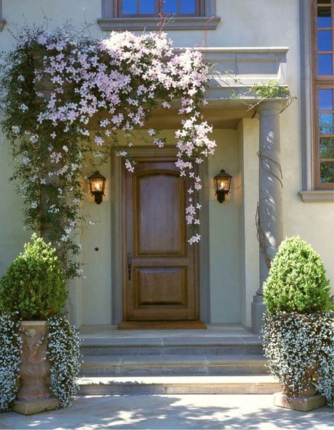 It is amazing how trailing flowers can add a sense of romance to any spot. Here, the simple and symmetrical entrance of this Mediterranean home is softened by the Clematis, cascading from the front porch in pink swathes delicately swaying in the summer br Front Door Awning Ideas, Front Door Flowers, Flowers Front Door, Clematis Montana Rubens, Welcoming Front Door, Front Door Plants, Door Awning, Trailing Flowers, Clematis Montana