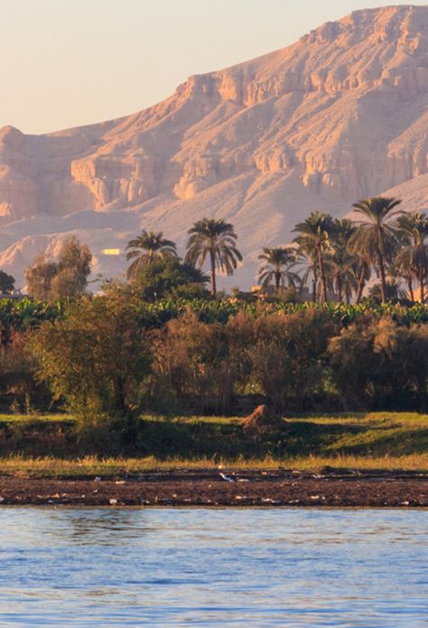 Esta temporada estamos viajando mucho al desierto… Esta vez nos vamos a Sudán. Donde no solo pisaremos arena, sino también nos acercaremos al agua, porque viajamos a una zona pegada al río Nilo que cruza este continente africano. Una zona, conocida como la quinta catarata. De la mano de un equipo de arqueólogos nacional e internacional conoceremos un poco más cómo vivieron las civilizaciones que a lo largo de la historia se han establecido a orillas de este gran y caudaloso río. En este capítulo Cairo, National Geographic, Egypt, Exterior