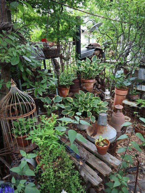 dream garden secret garden gravel garden indoor herb garden garden aesthetic garden design garden nails garden wedding garden aesthetics gardening aesthetics gardening quotes garden ideas gardening garden decor ideas gardening plans drawing gardening tips #garden #gardendesign #gardendecor #gardenersofinstagram #gardenstyle #gardenview #gardenporn #gardenphoto #gardentheme #gardenscape #gardencare #gardeninginspiration Hobbit Moodboard, Hydroponic Gardening Indoor, Garden Gravel, Tiny Garden Ideas, Courtyard Gardens, Hillside Garden, Small Courtyard Gardens, Indoor Herb, Hosta Gardens