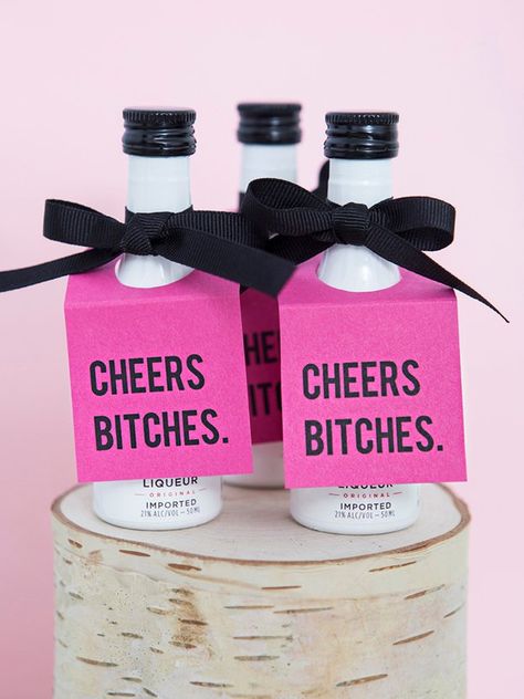 Mini Alcohol Gifts, Girls Trip Gifts Bags, Mini Alcohol Bottles, Adult Birthday Party Favors, Christmas Wishes Quotes, Girls Trip Gifts, Party Favors For Adults, Birthday Souvenir, Anti Valentines Day