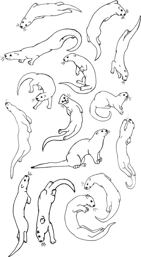 Otter Reference Drawing, How To Draw An Otter, Otter Drawing Sketches, Otters Tattoo, Otter Drawing Simple, Otter Tattoo Ideas, Weasel Tattoo, Otter Tattoo Simple, Otters Drawing