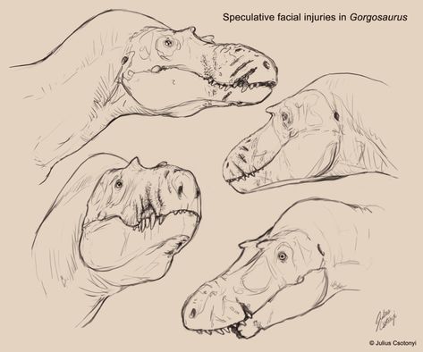 Prehistoric Animals Art, Dinosaur Poses Reference, Character Concept Art Sketch, Dinosaur Concept Art, Paleoart Dinosaurs, How To Draw Dinosaurs, Dinosaur Anatomy, Dinosaur Reference, Dinosaur Drawings