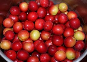 Cherry Plum Recipes, Summer Fruit Recipes, Canning Fruit, Cherry Plum, Plum Recipes, Plum Jam, Wild Cherry, Canning Recipes, Summer Fruit