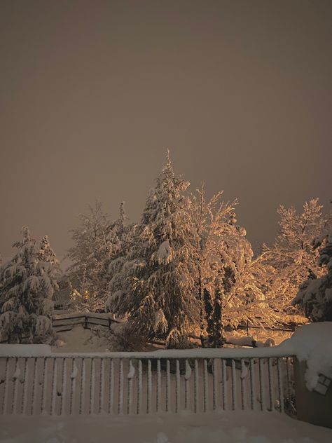 Blizzard Aesthetic, Winter Background Aesthetic, Aesthetic Cabin, January Aesthetic, Snowy Street, American Vibes, Snow Blizzard, Landscape Reference, The Burrow