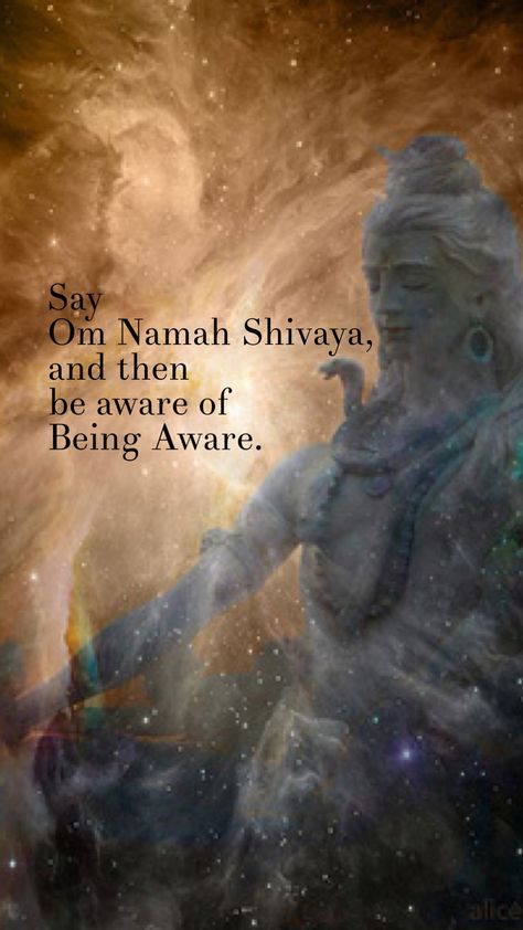 Shiva Tandav, Shiva Meditation, Rudra Shiva, Shiva Shankara, Hindu Quotes, Mahakal Shiva, Lord Mahadev, Pictures Of Shiva, The Witness