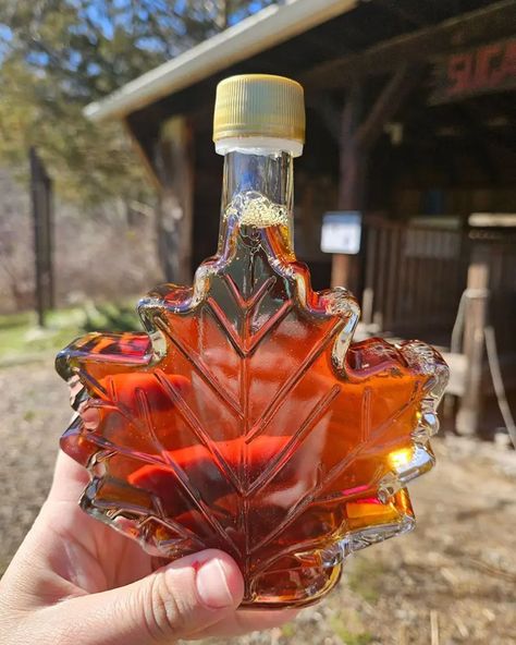 Maple Syrup Calories and 15 Health Benefits Health Benefits Of Maple Syrup, Organic Maple Syrup, Heart Health, Maple Syrup, Fitness Health, Immune System, Health Food, Syrup, Health Benefits