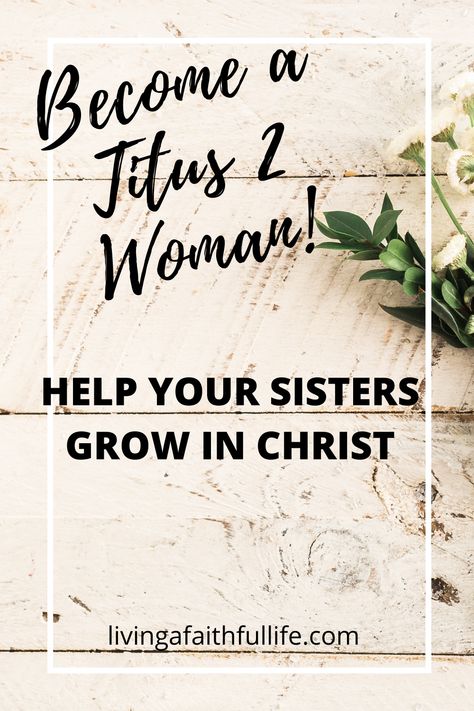 Christian Mentoring, Titus 2 Woman, Church Fellowship, Christian Woman Encouragement, Bible Resources, Bible Study Methods, Womens Bible Study, Womens Ministry, Bible Love