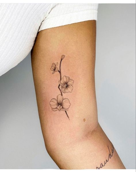 Orchid Tattoo Flowers, Orkid Tattoos, Orchid Tattoo With Words, Orchid With Butterfly Tattoo, Tattoo Of Orchids, Hummingbird With Orchid Tattoo, Tattoo Ideas Female Orchid, Roses And Orchids Tattoo, Thai Orchid Tattoo