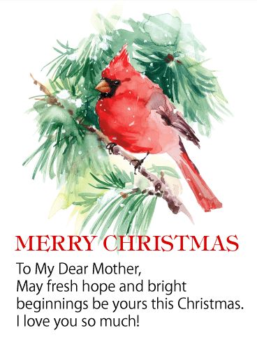 Red Cardinal Christmas Wishes Card for Mother: Hope is a precious thing. This darling red cardinal symbolizes the hope of the Christmas season. Send your mother a beautiful Christmas greeting card and fill her holiday with warmth and good wishes. Elegant watercolors blend to paint a charming winter scene and create a soulful Christmas card. This bird of happiness will make its way to your dear mother with a thoughtful message of love. Spread a bit of Christmas cheer with a special Christmas card Cardinal Watercolor, Red Cardinal Bird, Waterslide Paper, Matting Pictures, Winter Illustration, Cardinal Bird, Watercolor Red, Greeting Card Illustration, Christmas Bird