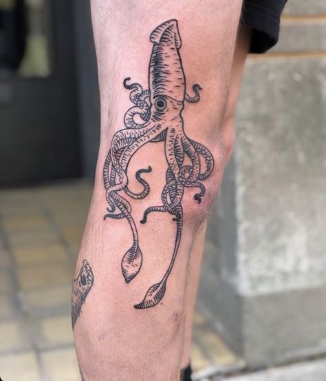 Vampire Squid Tattoo, Mollusk Tattoo, Aquatic Leg Sleeve Tattoo, Squid Tattoo Cute, Octopus Tattoos Arm, Zoo Animal Tattoos, Giant Squid Tattoo, Oceanic Tattoo, Sea Monster Tattoo