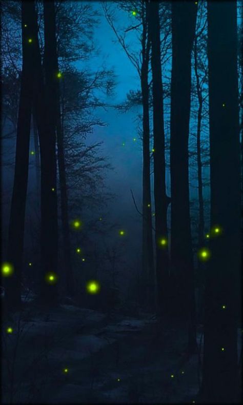 Download Fireflies Live Wallpaper for android Fireflies Live ... #lenses #lenses #wallpaper Fireflies Aesthetic Video, Firefly Images, Firefly Photography, Creature Of The Night, Lightning Bugs, Firefly Art, Wallpaper For Android, Most Beautiful Wallpaper, Flashing Lights