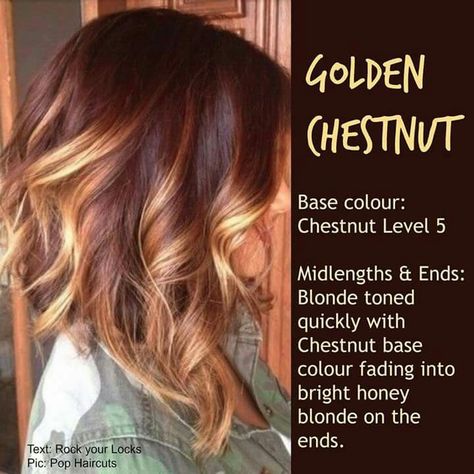 Hair color                                                                                                                                                                                 More Winter Hair Colors, Chestnut Hair, Chestnut Hair Color, Winter Hair Color, Winter Hair, Brown Blonde Hair, Hair Color And Cut, Hair Inspiration Color, Medium Hair Cuts