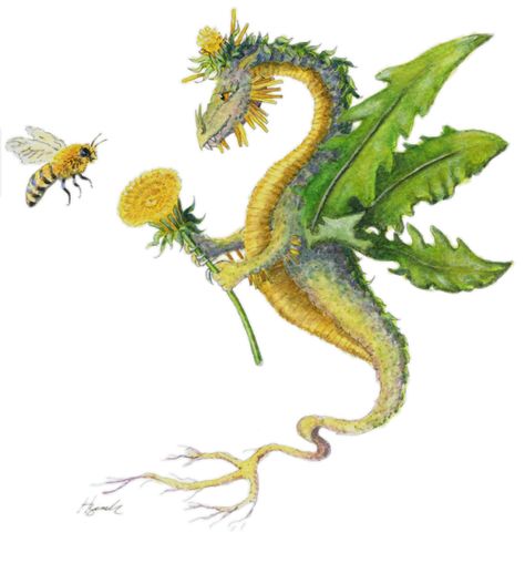 "Dragon art""Flower Dragon" "Heidi Buck"A Dandelion Dragon gives a dandelion flower to a Honey Bee Butterfly Dragon, Tatuaje A Color, Dandelion Flower, Dragon Pictures, California Poppy, Dragon Artwork, Cute Dragons, Baby Dragon, Dragon Drawing