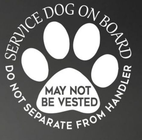 Service Dog Gear, Psychiatric Service Dog, Service Dogs Gear, Service Dog Training, Dog Svg, Pet Ideas, Dog Gear, Dog Boarding, Service Dog