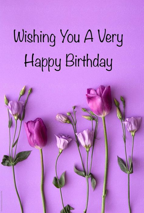 Happy Birthday, pink/lilac tulips, purple background | Happy birthday fun, Happy birthday wishes images, Happy birthday greetings Lilac Tulips, Happy Birthday Humorous, Happy Birthday Friendship, Happy Birthday Pink, Happy Birthday Wishes Messages, Birthday Wishes Greetings, Birthday Wishes Flowers, Happy Birthday Wishes Photos, Happy Birthday Greetings Friends