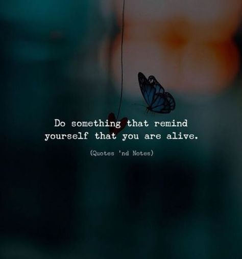 Do something that remind yourself that you are alive life quotes quotes quote alive quotes about life life quotes and sayings best life quotes Feel Alive Quotes, Alive Pictures, Valuable Quotes, Alive Quotes, Something Wild, Remind Yourself, Dream Quotes, Memories Quotes, Quotes And Notes