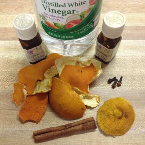 Make your own homemade incense out of upcycled orange and other citrus peels, cinnamon, cloves, vinegar and water.  Super simple and smells delicious! Homemade Incense, Orange Peels, Orange Clove, Vinegar And Water, Sweet Citrus, Distilled White Vinegar, Diy Cleaners, Cultural Center, White Vinegar